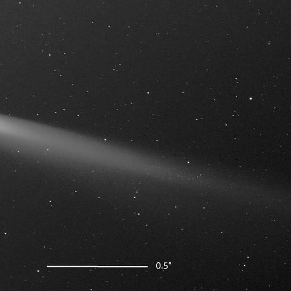 A rare comet brightens the night skies in October